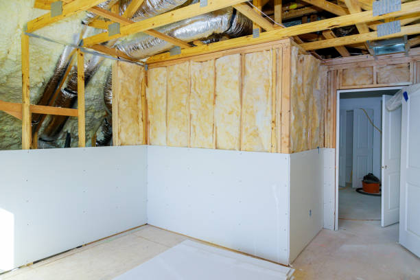 Best Energy-efficient Insulation  in Duson, LA